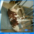 Máquina de processamento de carne em casa de aves de capoeira com projeto de casa pré-fabricada e construção